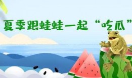 呱呱吃瓜故事背景,穿越时空的奇幻冒险之旅