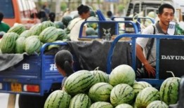 德阳交院吃瓜,揭秘校园风云录