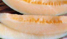 吃哈密瓜可以吃花甲吗