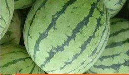 太仓吴江区吃瓜,夏日吃瓜盛宴，品味江南水乡清凉一夏