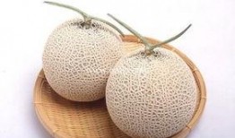 月经期间哈密瓜可以吃吗,月经期间哈密瓜适宜食用吗？