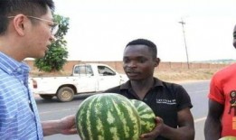 美国吃瓜人,揭秘美国社会现象背后的真相