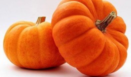 土家小木吃瓜,探寻传统美食中的瓜香韵味