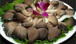 骨折后可以吃焦瓜,营养补充新选择