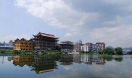 康桥镇三林塘崩瓜怎么吃,传统美食的独特吃法揭秘