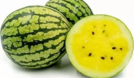 吃瓜王火影,揭秘忍者世界的幕后风云