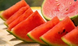 小虫熊角落吃瓜,一场别开生面的吃瓜盛宴