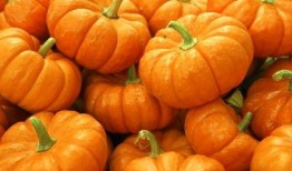 梦着摘瓜吃,一场摘瓜吃的美妙梦境之旅