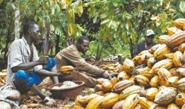 吃元奴的瓜,揭秘“吃元奴瓜”背后的故事与传奇