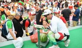 红领巾吃瓜群众网,揭秘网络舆论场中的青春力量