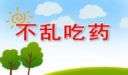 每日聪慧吃瓜ppt,揭秘热点事件背后的真相与趣味