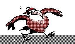 豆瓣吃瓜组鹿组,揭秘网络热议背后的真实故事