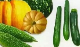 吃瓜就该有吃瓜的样子吗,揭秘吃瓜的正确姿势