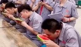 员工大会吃瓜,员工大会上的“瓜田”奇遇记