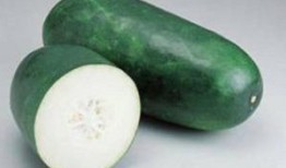 栋瓜怎么吃,探索美味栋瓜的烹饪艺术