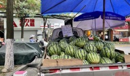 吃瓜啦成都,揭秘网红美食背后的故事