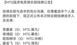 瓶子转会期吃瓜,揭秘瓶子的转会瓜界盛宴