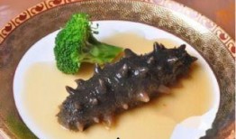 怎样吃海参怎样吃刺角瓜,海参与刺角瓜的养生搭配食谱