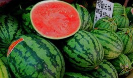 大瓜吃新瓜,揭秘娱乐圈新鲜热辣事件