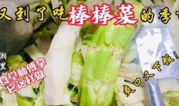 阳谷老师吃瓜,揭秘娱乐圈幕后故事