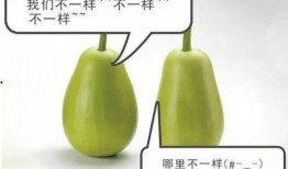 安缘吃瓜,揭秘娱乐圈背后的那些事儿