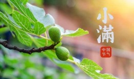 小满吃瓜是什么,探寻传统节气中的美食文化