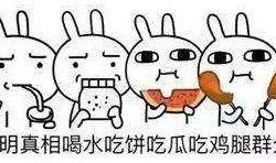 最佳吃瓜群众视频,视频中的趣味与智慧