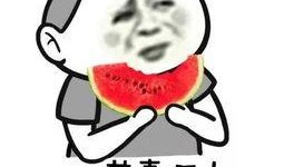 吃瓜群众握手比心,共度欢乐时光