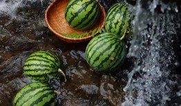 安全吃瓜小知识,轻松享受夏日清凉，远离健康隐患