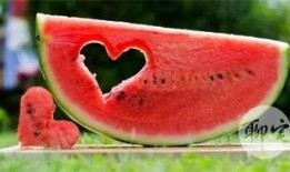 吃瓜官方免费,吃瓜官方带你畅游明星幕后生活