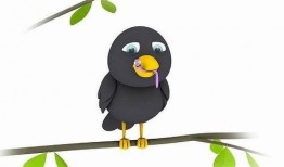 早起的虫儿被鸟吃 吃瓜,揭秘“早起的虫儿被鸟吃”的生态智慧