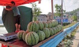 尤溪铺头吃瓜事件,一场引发热议的街头冲突