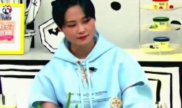 吃瓜阿姨解说全集,揭秘娱乐圈幕后真相