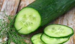 吊瓜适合减肥吃吗,减肥饮食中的天然利器