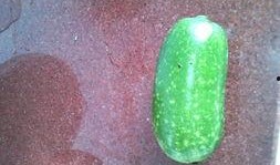 怀孕可以吃蓝瓜嘛,蓝瓜在孕期是否适宜食用