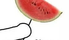 吃瓜密语,吃瓜密语背后的真相与内幕