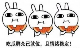 到处吃瓜或乱说什么意思,揭秘“到处吃瓜”与“乱说话”背后的社会现象