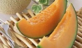 健身吃哈密瓜,哈密瓜助力健康塑形