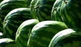 吃的瓜群,揭秘网络热议背后的真相与趣味