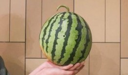 1小时吃瓜,尽享夏日清凉美味