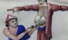 弹琵琶吃瓜,弹琵琶赏瓜乐逍遥