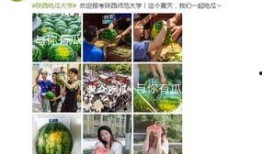 学校软件吃瓜,吃瓜神器背后的秘密与影响