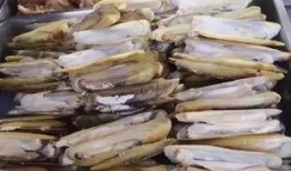 阜南吃瓜视频,揭秘当地特色美食背后的故事