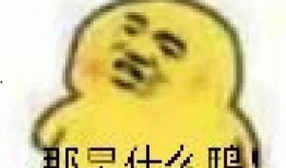 聊天吃瓜表情包图片,揭秘网络社交中的趣味瞬间