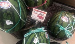 巅峰吃瓜,揭秘娱乐圈幕后风云