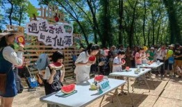 杨林吃瓜,揭秘娱乐圈幕后故事