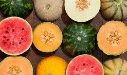 欢迎吃瓜图片,揭秘网络热图背后的趣味与现象