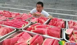 学校软件吃瓜,吃瓜神器背后的秘密与影响