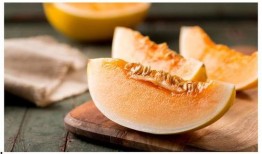 狗吃绿色哈密瓜,哈密瓜美食之旅