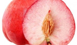 吃蜜瓜嗓子沙,蜜瓜诱惑下的嗓子沙涩之谜